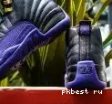 Jordan Air OVO 12 White pairs） Version Authentic Release （Nike 0511